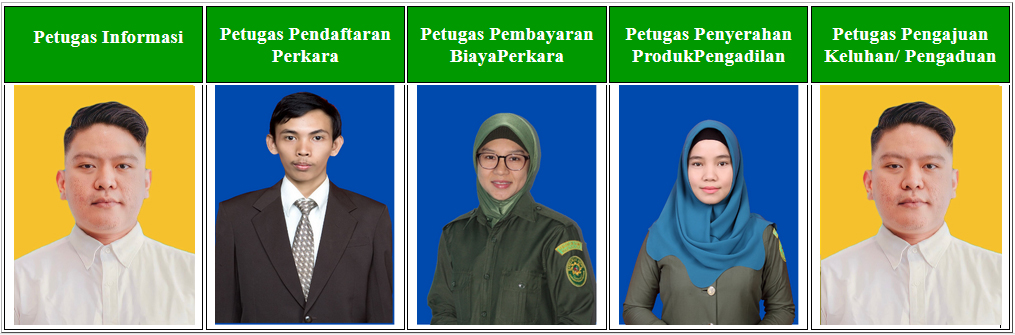 petugas ptsp1